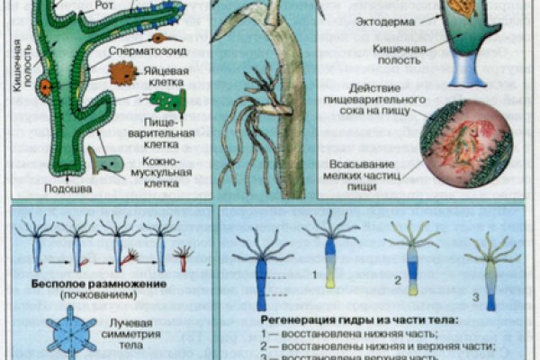 Кракен маркетплейс зеркало