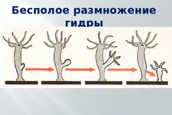 Адрес кракена