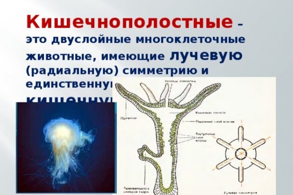 Кракен клир