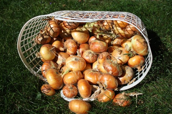 Кракен сайт нарк