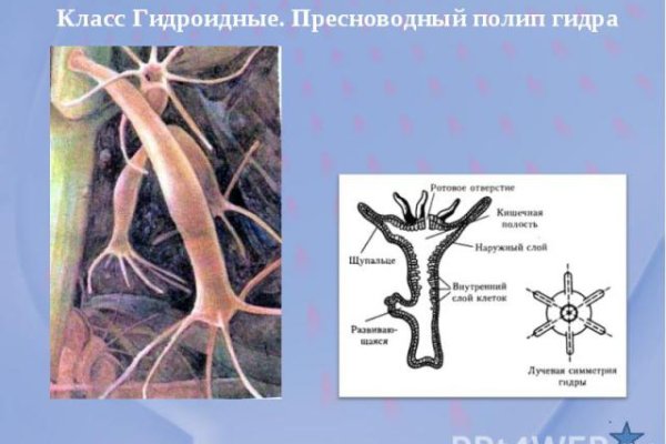 Кракен ссылка на сайт
