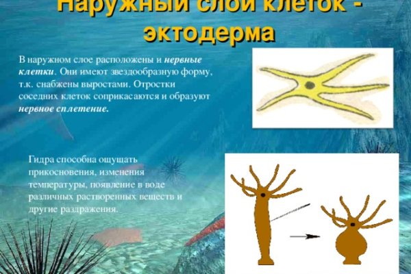 Кракен ссылка тор браузер
