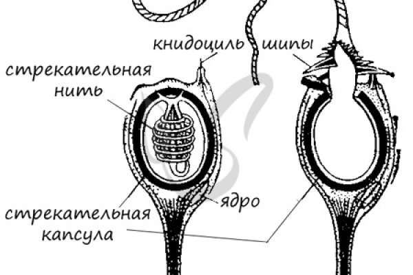 Кракен наркоторговля