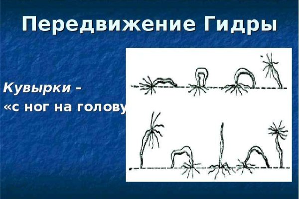 Активная ссылка на кракен