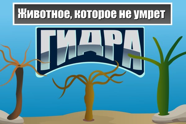 Что такое кракен тор