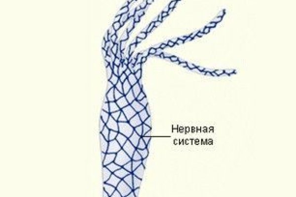 Кракен сайт в тор браузере ссылка