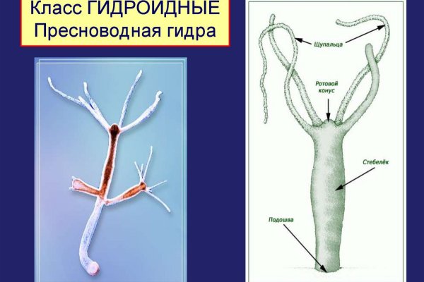 Кракен новый сайт