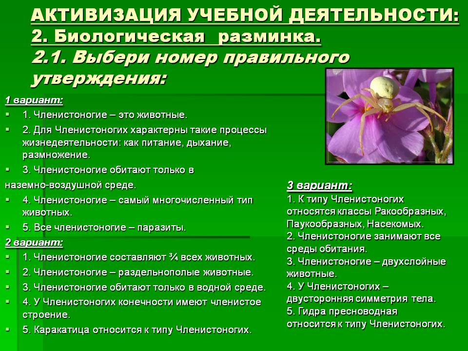 Как открыть ссылку с кракена